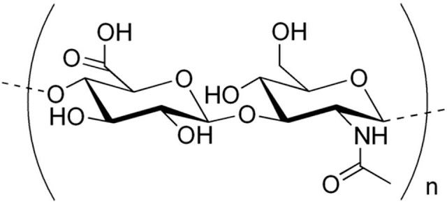 acid hialuronic, totul despre acid hialuronic, efecte, beneficii, utilizari, pareri, Debora Tentis