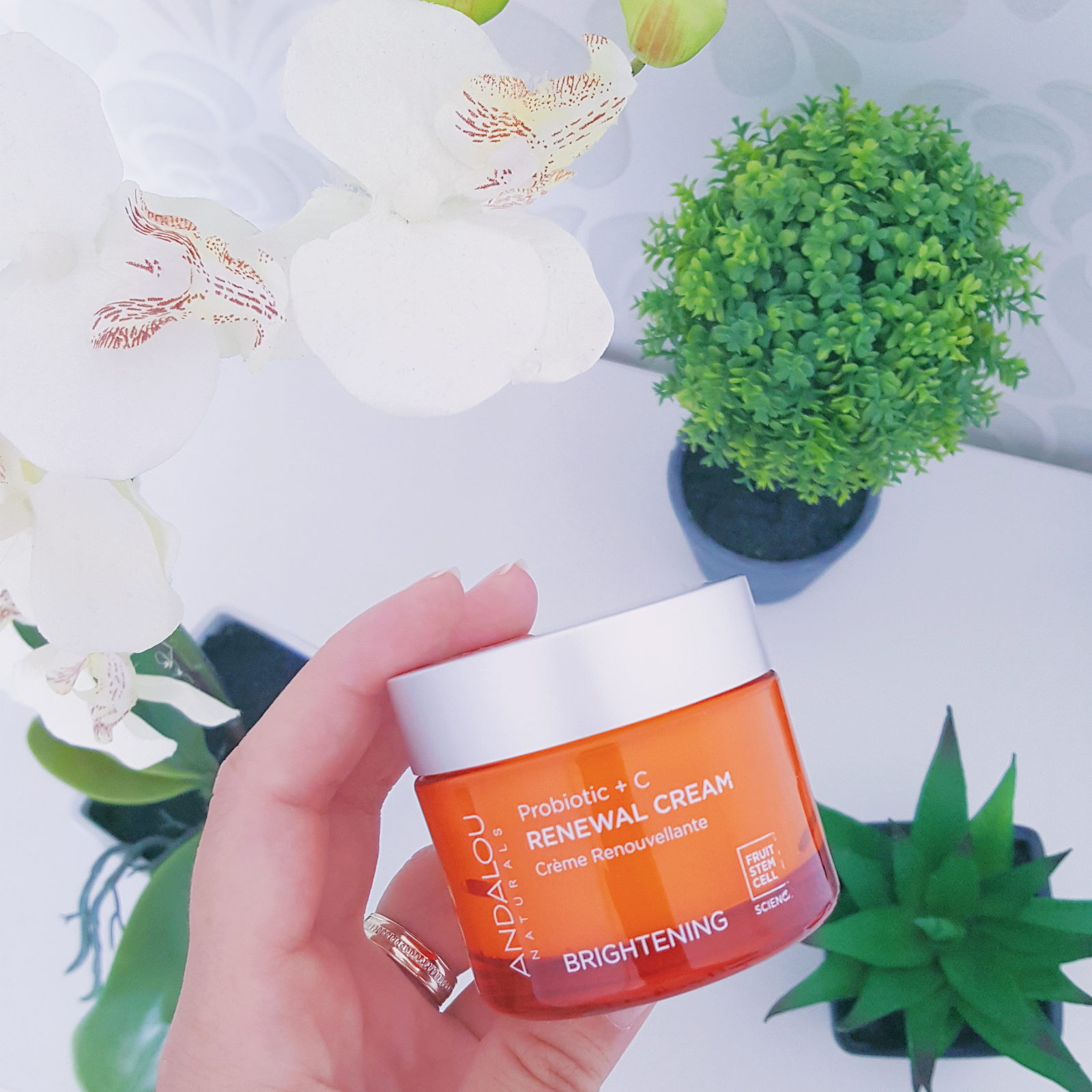 crema cu probiotice vitamina c manuka celule stem andalou secom debora tentis pareri review