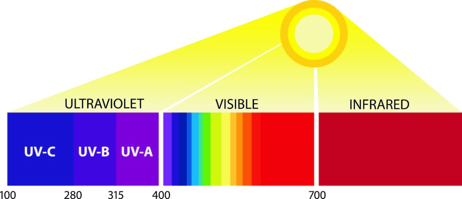 Razele ultraviolete UV, vizibile HEV și infrarosii IF